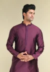 Nawab Parker Elegant Purple Kurta Pajama Set with Subtle Self-Design front kurta view