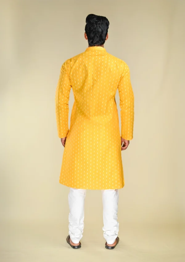 Nawab Parker Men's Yellow Kurta Pajama Set with Handloom Pattern back view