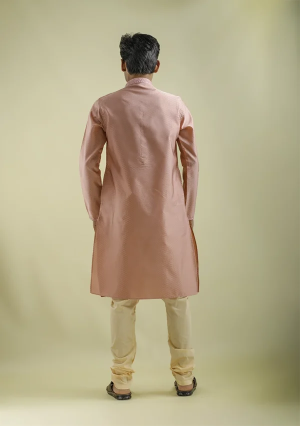 Nawab Parker Party Wear Silk Blend Light Pink Kurta Pajama for Men back - view