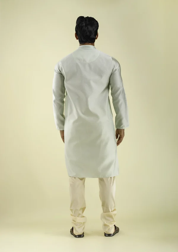 Nawab Parker New Kurta Pajama in Light Green with Textured Art Silk back view