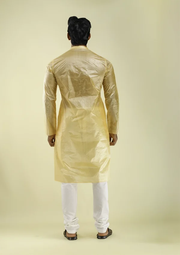 Nawab Parker Wedding Grandeur Golden Pure Silk Kurta Pajama for Men back view