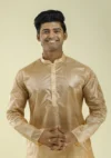 Nawab Parker Festive Wear Chikoo Silk Kurta Pajama for Men half front view