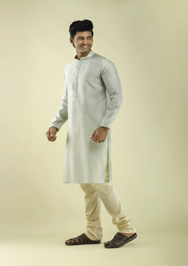 Nawab Parker New Kurta Pajama in Light Green with Textured Art Silk left view