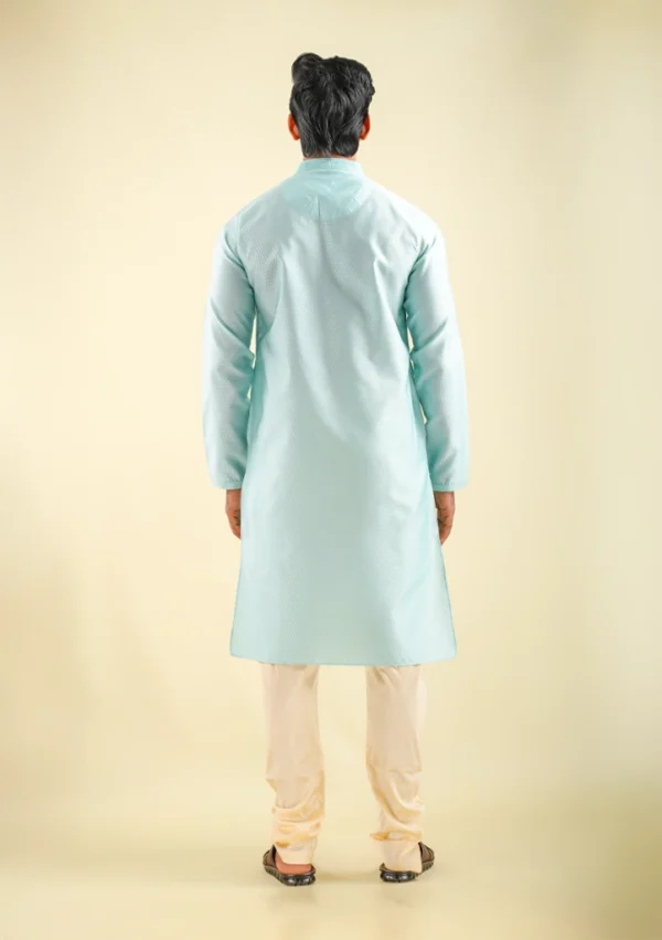 Nawab Parker Art Silk Sky Blue Kurta Pajama for Wedding Looks back view