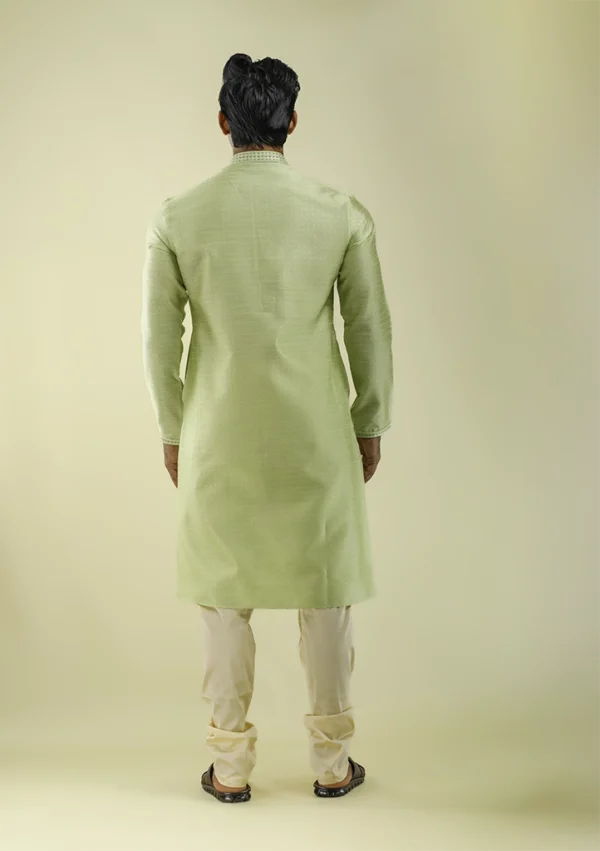 Nawab Parker Buy Art Silk Light Green Kurta Pajama for Men Back- View