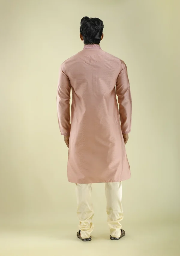 Nawab Parker Buy Men's Peach Color Ethnic Kurta Pajama Set back view