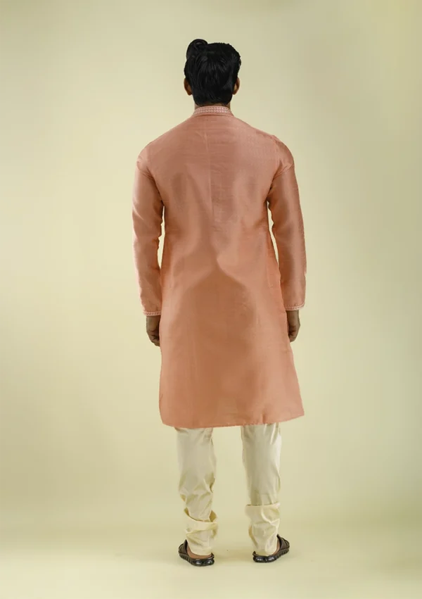 Nawab Parker Buy Men's Stylish Art Silk Patterned Kurta Set Back - View