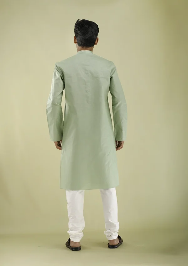 Nawab Parker Classic Full Sleeves Light Green Kurta Pajama for Men back view