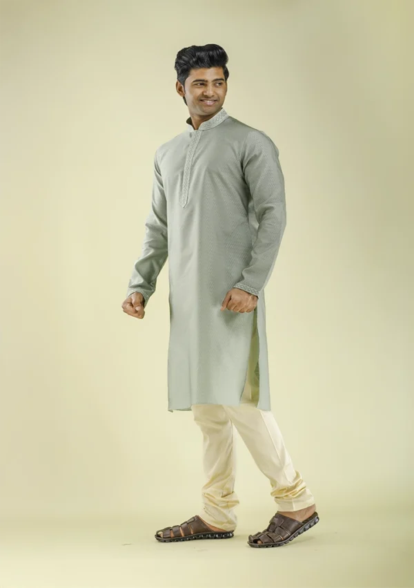 Nawab Parker Designer Light Green Kurta Pajama with Embrleft Placket left view