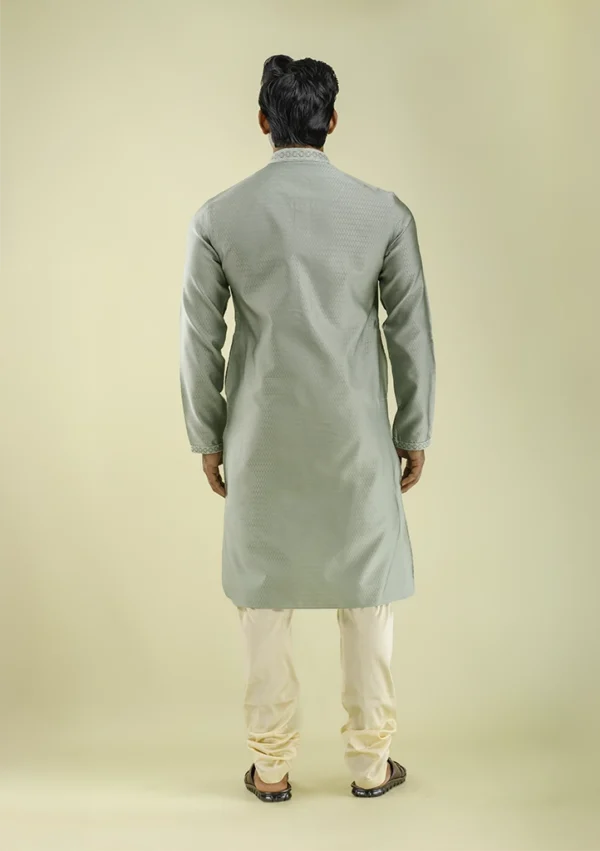 Nawab Parker Designer Light Green Kurta Pajama with Embroidered Placket back view