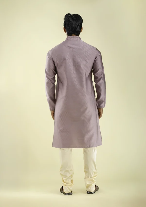 Nawab Parker Fancy Lavender Colour Kurta Pajama for Men back view