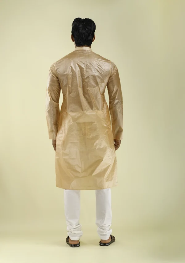 Nawab Parker Festive Wear Chikoo Silk Kurta Pajama for Men back view