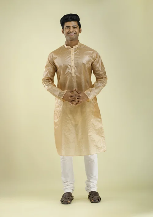Nawab Parker Festive Wear Chikoo Silk Kurta Pajama for Men front view