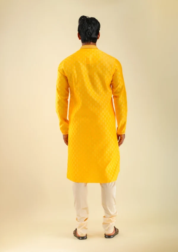 Nawab Parker Festive Wear Silk Blend Yellow Kurta Pajama for Men back view