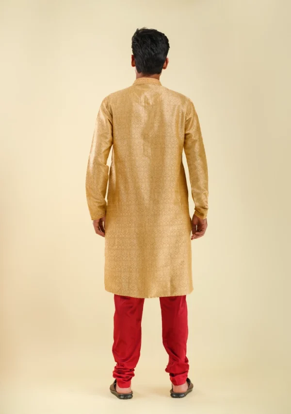 Nawab Parker Full Sleeves Fawn Golden Kurta Pajama for Men with Subtle Texture back view