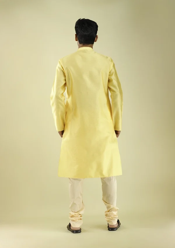 Nawab Parker Jacquard Diamond Patterned Kurta Pajama for Men back view
