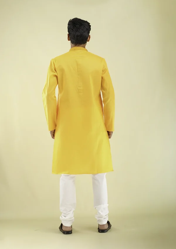 Nawab Parker Latest Kurta Pajama Style for Men's Ethnic Look back view