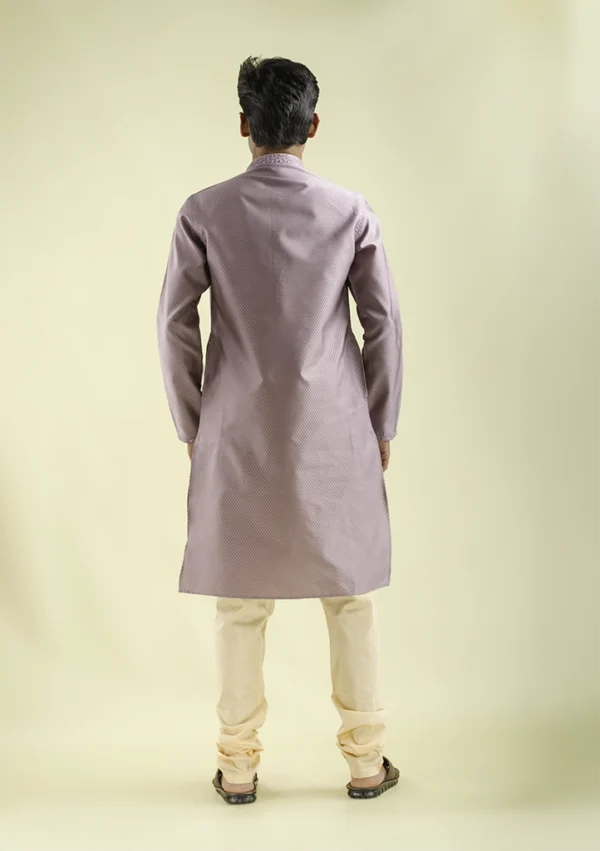 Nawab Parker Light Purple Kurta pajama with Soft Woven Style back- view
