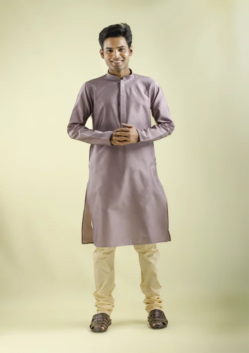 Nawab Parker Light Purple Kurta pajama with Soft Woven Style front - view