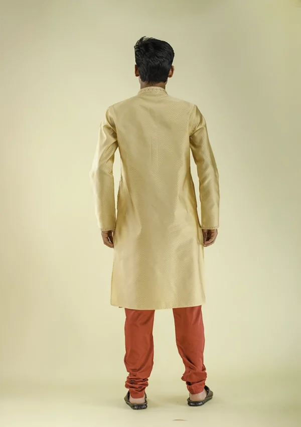 Nawab Parker Long Sleeve Golden Kurta Pajama Set for Men back- view