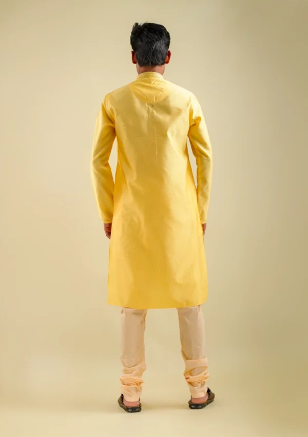 Nawab Parker men's designer yellow fancy kurta pajama set back view