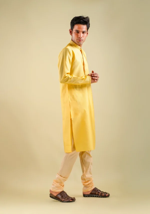 Nawab Parker men's designer yellow fancy kurta pajama set right view