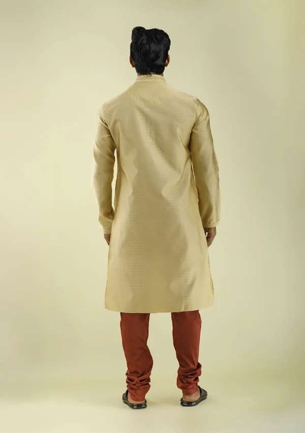 Nawab Parker Men's Fancy Brocade Kurta Pajama with Woven Design back view