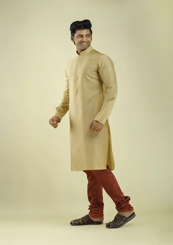 Nawab Parker Men's Fancy Brocade Kurta Pajama with Woven Design left view