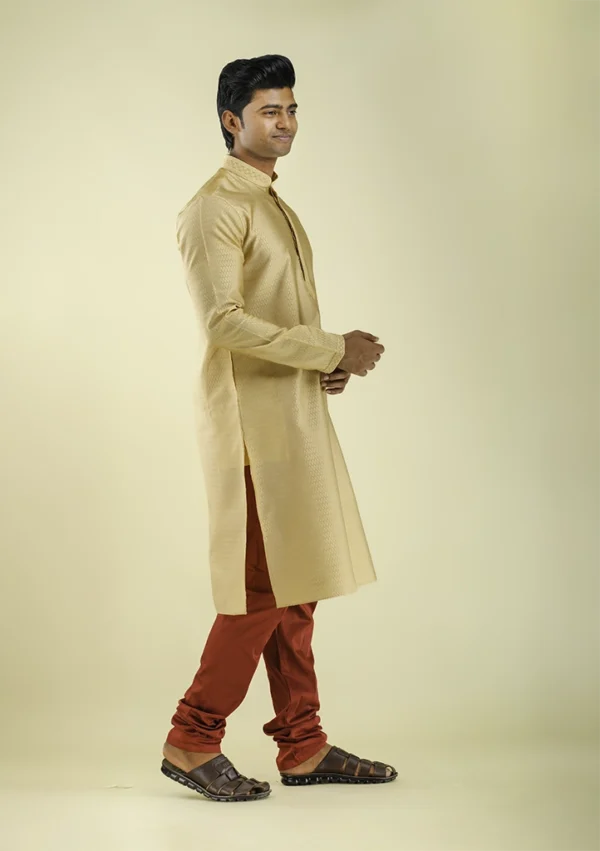 Nawab Parker Men's Fancy Brocade Kurta Pajama with Woven Design right view