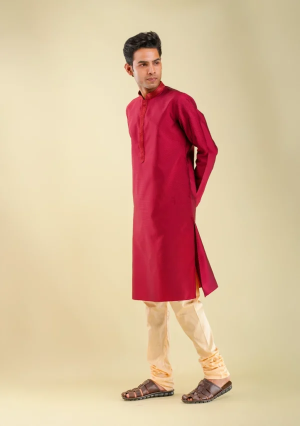 Nawab Parker Men's Fancy Maroon Kurta Pajama Set right view