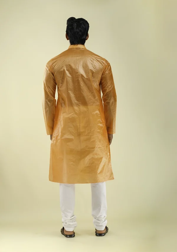Nawab Parker Men's Silk Kurta Pajama for Festive Vibrance back view