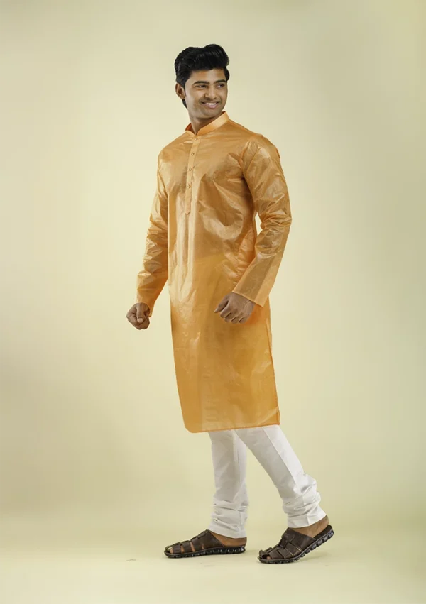 Nawab Parker Men's Silk Kurta Pajama for Festive Vibrance left view