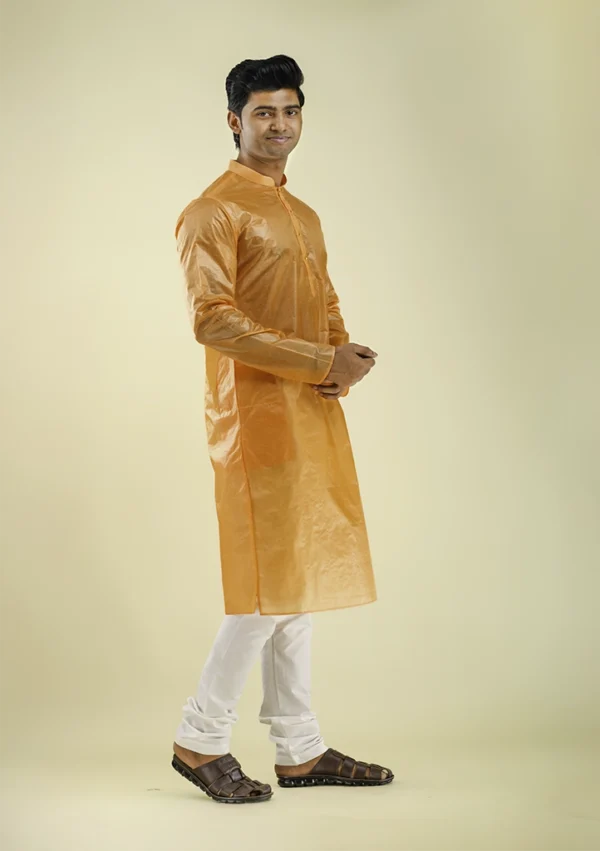 Nawab Parker Men's Silk Kurta Pajama for Festive Vibrance right view