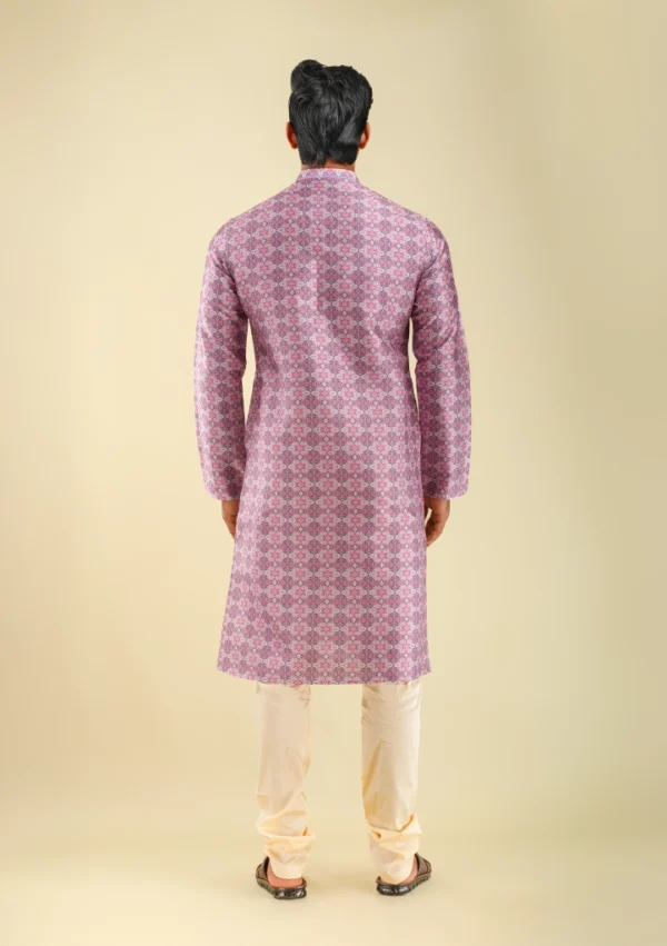 Nawab Parker Nawab Parker Men's Ethnic Wear Printed Kurta Pajama back view