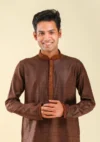 Nawab Parker Patterned Brown Kurta Pajama Viscose Silk Party Wear front half view