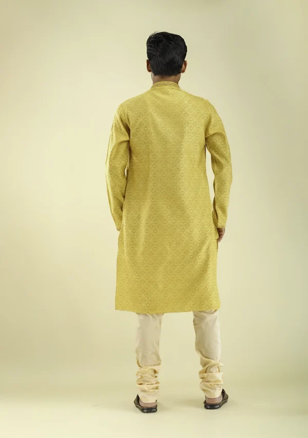 Nawab Parker Premium Festive Wear Kurta Pajama for Men Back View