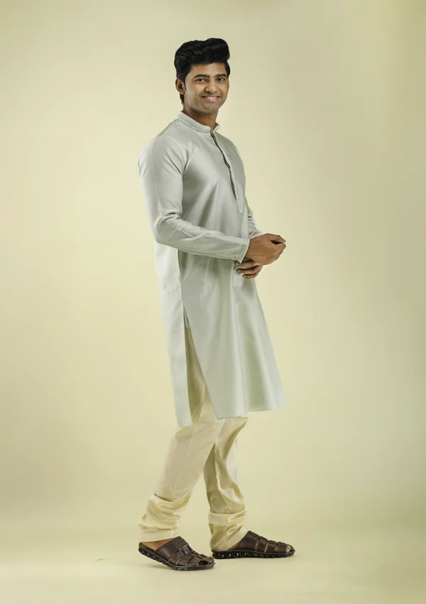 Nawab Parker New Kurta Pajama in Light Green with Textured Art Silk right view