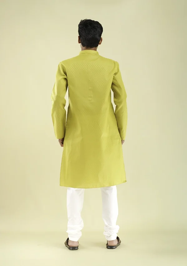 Nawab Parker Buy Designer Mustard Colour Kurta Pajama for Men back view
