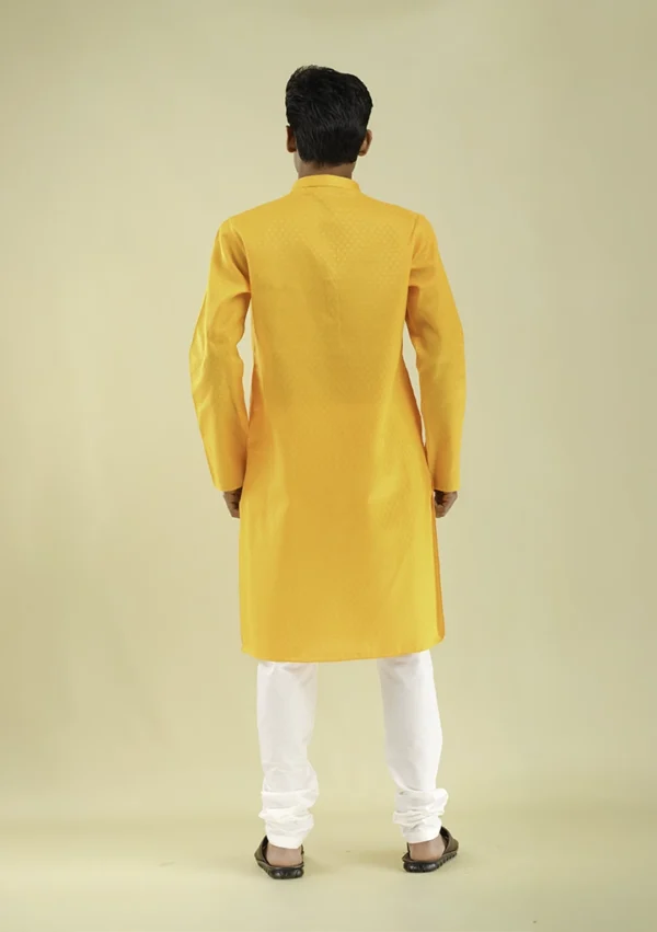 Nawab Parker Classic Ethnic Straight Yellow Kurta Pajama for Men back view