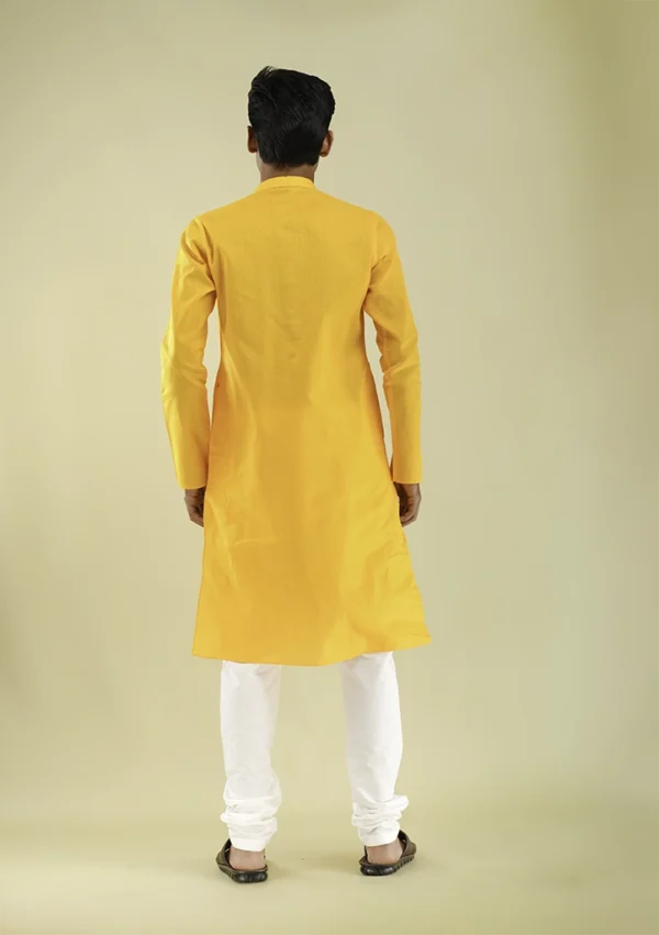Nawab Parker Nawab Parker Woven Textured Yellow Kurta Set for Men back view